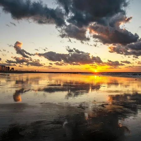 Beautiful By The Sea, Cleaning Included Apartment *